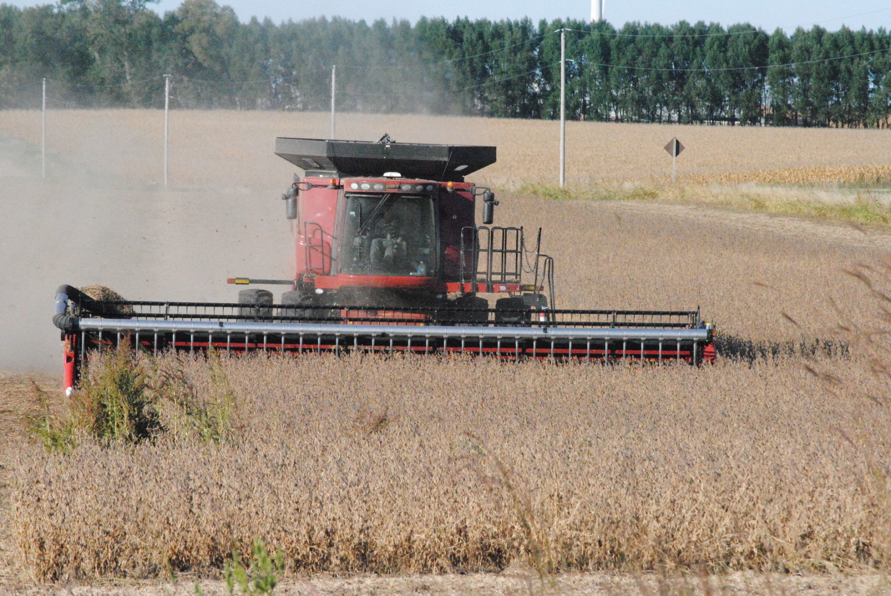 combine soybeans field